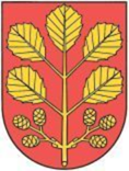 Erlen